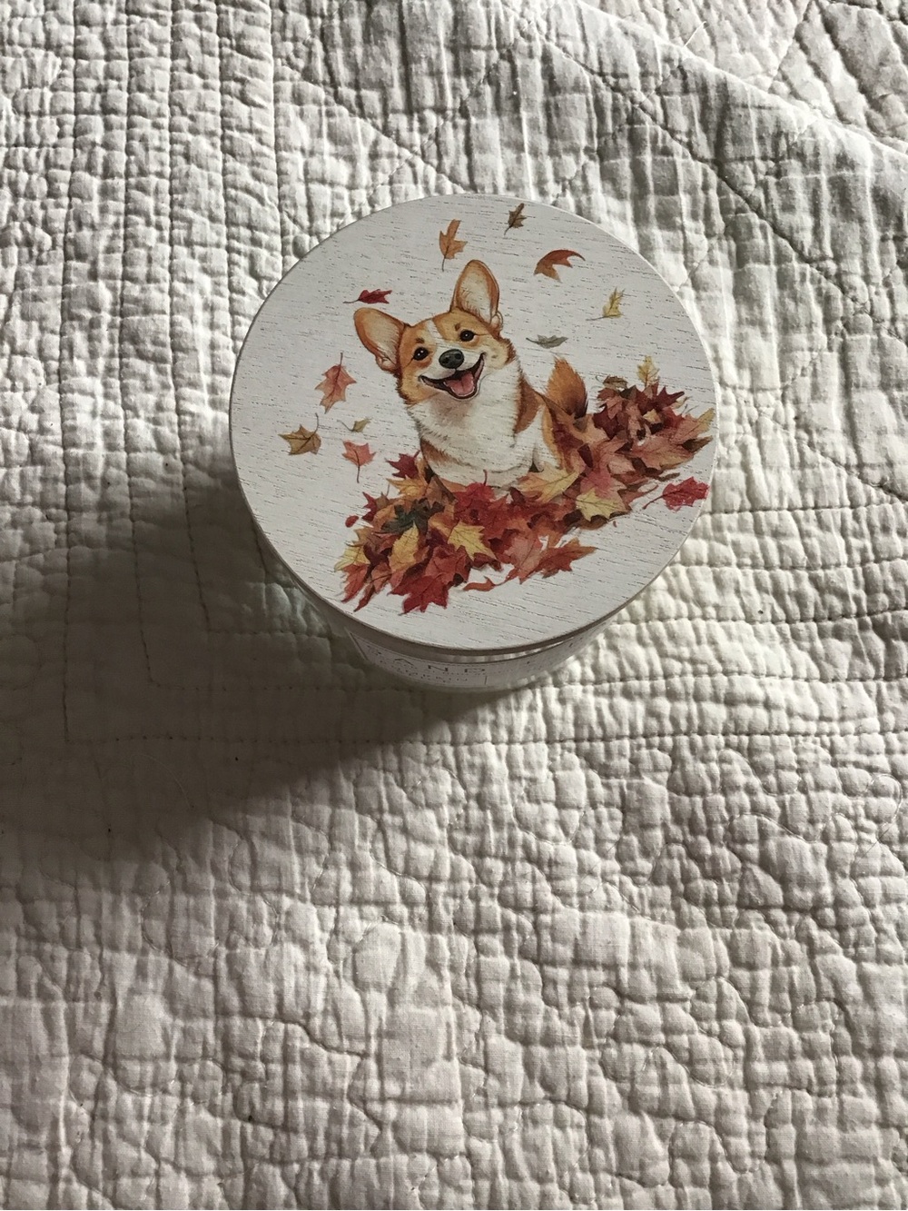 New Sand + Paws Autumn Corgi Pumpkin Spice Candle Wooden Lid with Fall Leave